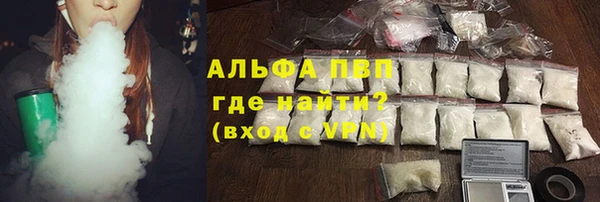 стаф Арсеньев
