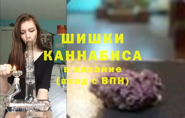 шишки Абаза