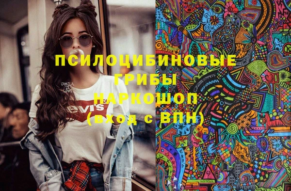 шишки Абаза
