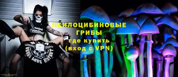 ГАЛЛЮЦИНОГЕННЫЕ ГРИБЫ Армянск