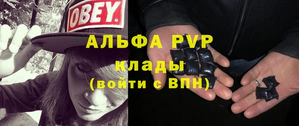 шишки Абаза