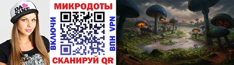 Галлюциногенные грибы Psilocybe  наркошоп  Ессентукская 
